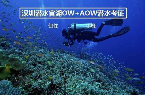 河套灌区向大水漫灌说“不”——来自内蒙古巴彦淖尔市的调查