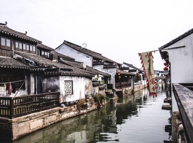 饥饿的松鼠救援